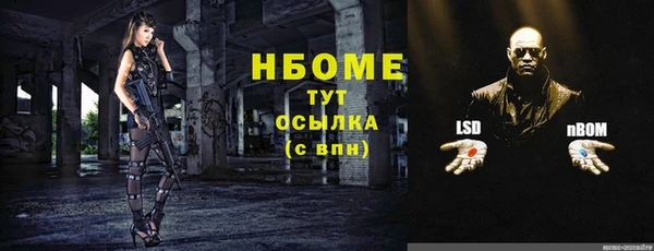 гашик Белоозёрский