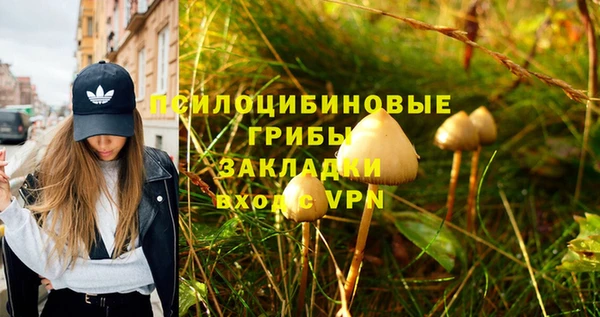 гашиш Покачи