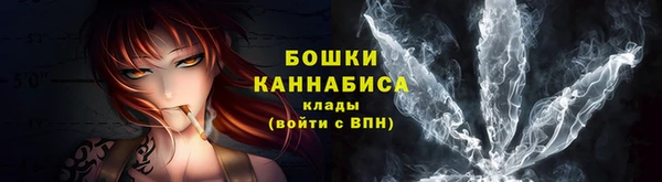 гашик Белоозёрский