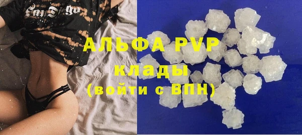 ПСИЛОЦИБИНОВЫЕ ГРИБЫ Белокуриха
