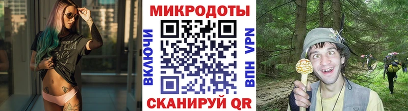 Псилоцибиновые грибы мухоморы  кракен как зайти  Куса 